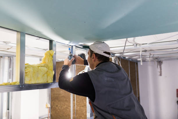 Best Geographic-Specific Insulation Services in Agoura Hills, CA